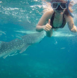 Meet your Posher, Kite